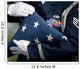 Us Honor Guard Performs Wall Decal