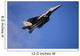 Us Air Force F-15e Wall Decal
