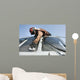 Us Navy Airman Cleans Wall Decal
