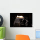 Us Marine Provides Aerial Wall Decal Design 2