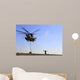 Ch-53e Super Stallion Conducts Wall Decal
