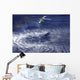 Mh-60s Seahawk Lowers Rescue Wall Decal