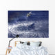 Mh-60s Seahawk Lowers Rescue Wall Decal
