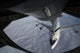 Kc-135 Stratotanker Refuels NATO Wall Decal