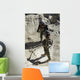 Afghan National Security Forces Wall Decal