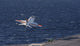 Us Navy T-45c Goshawk Wall Decal