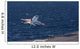 Us Navy T-45c Goshawk Wall Decal
