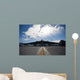 Us Air Force B-2 Wall Decal
