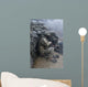 Georgian Soldier Takes Cover Wall Decal