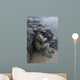 Georgian Soldier Takes Cover Wall Decal