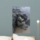 Georgian Soldier Takes Cover Wall Decal