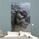 Georgian Soldier Takes Cover Wall Decal