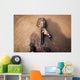 Us Marine Corps Back Wall Decal
