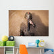 Us Marine Corps Back Wall Decal