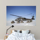 Us Army Paratroopers Pull Wall Decal Design 2