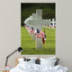 Grave Site Aisne-Marne American Wall Decal