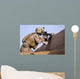Us Marine Provides Security Wall Decal Design 14