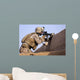 Us Marine Provides Security Wall Decal Design 14