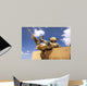 Us Marine Inspects His Wall Decal