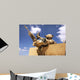Us Marine Inspects His Wall Decal