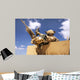 Us Marine Inspects His Wall Decal
