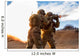 Us Army Rangers Fire Wall Decal
