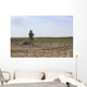Us Marines Provide Security Wall Decal Design 2