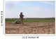 Us Marines Provide Security Wall Decal Design 2