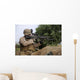 Us Marine Provides Security Wall Decal Design 9