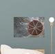 Water Drops Are Performed Wall Decal Design 1
