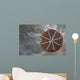 Water Drops Are Performed Wall Decal Design 1