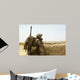 Us Marine Takes Cover Wall Decal