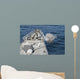 Uss Philippine Sea Fires Wall Decal