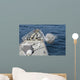Uss Philippine Sea Fires Wall Decal