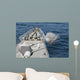 Uss Philippine Sea Fires Wall Decal