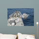 Uss Philippine Sea Fires Wall Decal