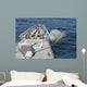 Uss Philippine Sea Fires Wall Decal
