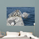 Uss Philippine Sea Fires Wall Decal
