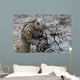 Us Army Specialist Sets Wall Decal
