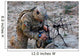 Us Army Specialist Sets Wall Decal
