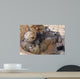 Us Army Specialist Provides Wall Decal Design 3