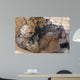 Us Army Specialist Provides Wall Decal Design 3