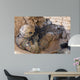 Us Army Specialist Provides Wall Decal Design 3