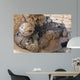 Us Army Specialist Provides Wall Decal Design 3