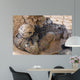 Us Army Specialist Provides Wall Decal Design 3