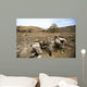 Us Marines Fire Mortars Wall Decal