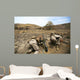 Us Marines Fire Mortars Wall Decal