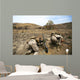 Us Marines Fire Mortars Wall Decal