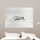 Yc-130 during Its Ferry Wall Decal