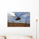 Ch-53e Super Stallion Helicopter Wall Decal